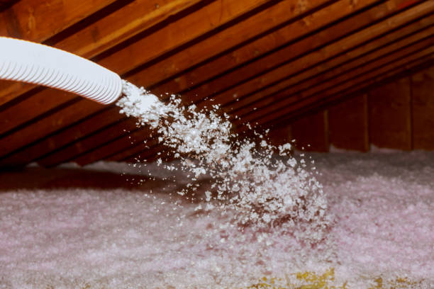  Le Sueur, MN Insulation Contractor Pros