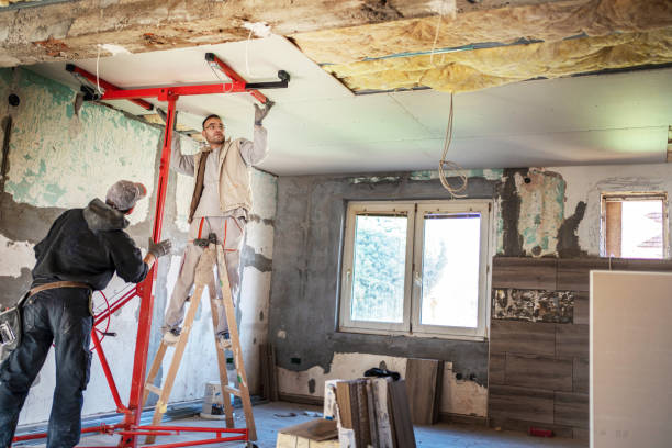 Best Insulation Maintenance and Repair in Le Sueur, MN