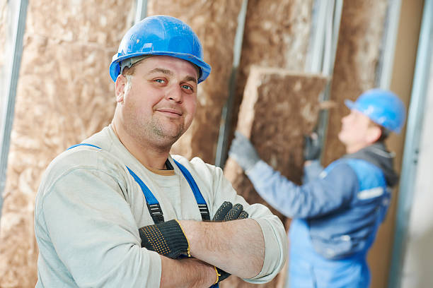 Best Commercial Insulation in Le Sueur, MN
